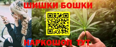 МДПВ Кингисепп