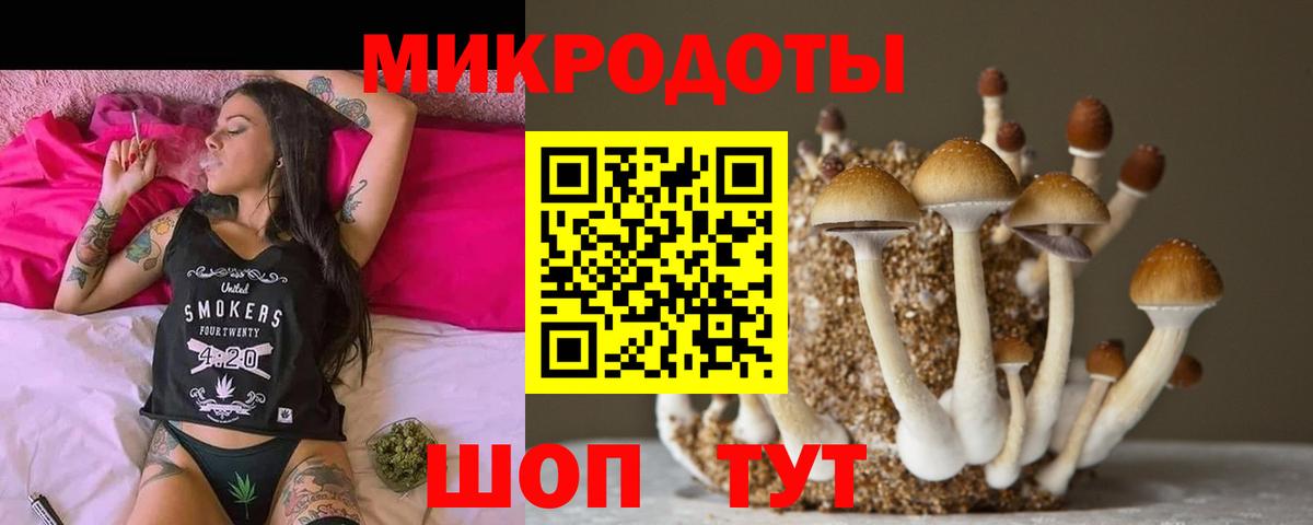 Псилоцибиновые грибы ЛСД  Вход с VPN  Курган 